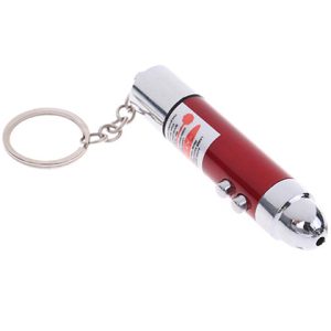 Laser Light Toy - Electric Shock Pointer Key Chain