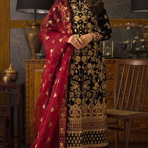 Velvet-3PC 5,000 Micro Embroidered Shirt With Stiched (D)