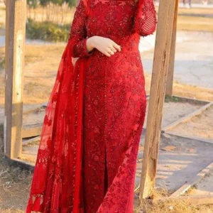 Bareeze - 3PC Organza Heavy Embroidered Shirt With (D)