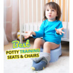 Kids Chair Style Potty Training Seat By phoenix In Multicolor