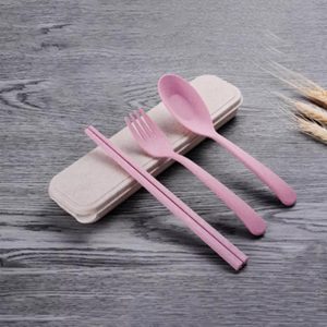 Wheatstraw Natural Plastic BioPlastic Fork Spoon Chopsticks Box Cutlery Set
