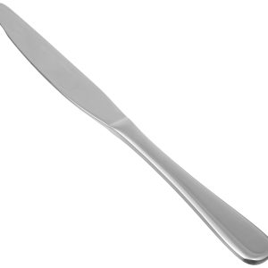Stainless Steel Dinner Knife