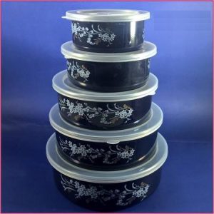 Bowl Set 5 piece round Kitchen Storage Food Bowl Set with Lid Salad bowls Reeona