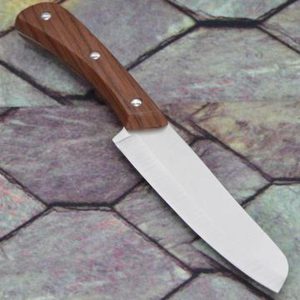 Stainless Steel Fruit Knife 8.5 inches knife with Wooden Handle