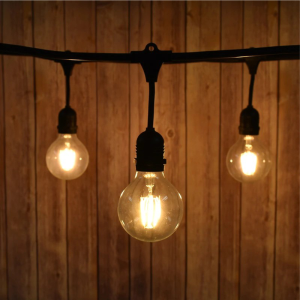 6W Filament Vintage Bulb  Round Shape  G 95 Model  Ceiling Hanging Lights