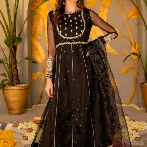 Maria B . - 3PC Organza Heavy Embroidered Shirt With Organza Digital Print Dupatta