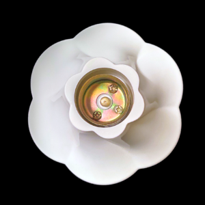 Fancy Flower Style Wall Mount Bulb Holder Ceiling Lamp Base Holder For Indoor Outdoor (B22 Pin Type)