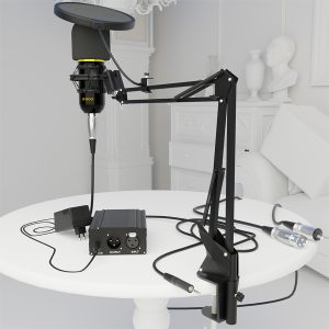 Audin-Bm800-Wired-Condenser Microphone Kit with All Accessories For Studios, Recording studio, Network anchor, Broadcasting