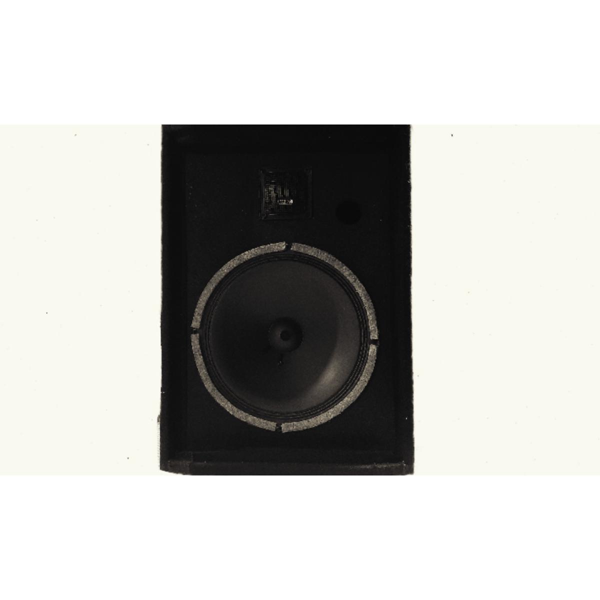 Speaker 10 inchs with wooden balck box