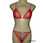 Bridal Bikini Set - Transparent Bikini (Lingerie Set For Women)