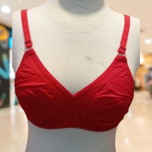 Mahroon Same Embroidery Bra Brazer for Women Ladies Girls
