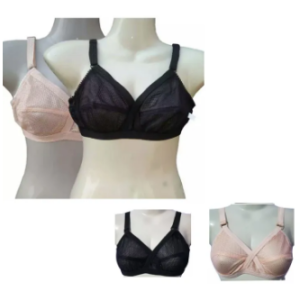 Ladies and Girls Transparent Skin net bra blouse brazier