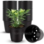 Pack of 20 plastic flower pots - Pots for seedling or flowers