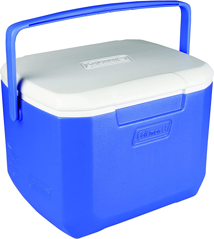 16-Quart Portable Cooler Excursion Cooler Ideal for Picnics