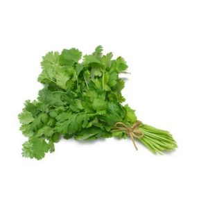 Dhania (Cilantro) (1 bundle)