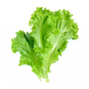 Lettuce Leaves (Salad Patta) 250g