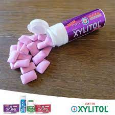 Pack of 4 XYLITOL Bluberi Mint, Fresh Mint, Nipis Mint, Stroberi Mint
