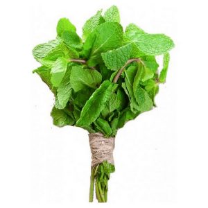 Peppermint (Pudina) 1 bundle
