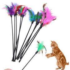 Cat Playing Stick Toy With Bell