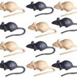 Rat toy for kids, mouse toy, plastic rat