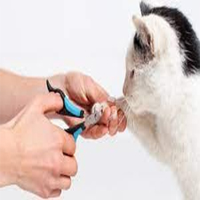 NAIL CUTTER - DOG CAT GROOMING NAIL CUTTING TOOL