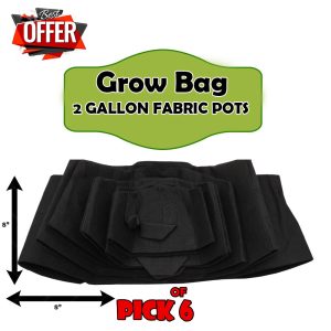 Grow Bag Pack Of 6 Fabric grow bag 2 Gallon I Good aeration For vegetables For kitchen gardening lovers (4tZ98)