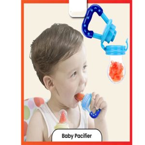 Fruitful Beginnings Infant Fruit Feeder Pacifiers