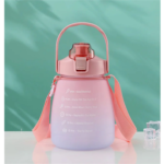 Gradient Water Bottle